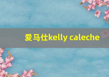 爱马仕kelly caleche